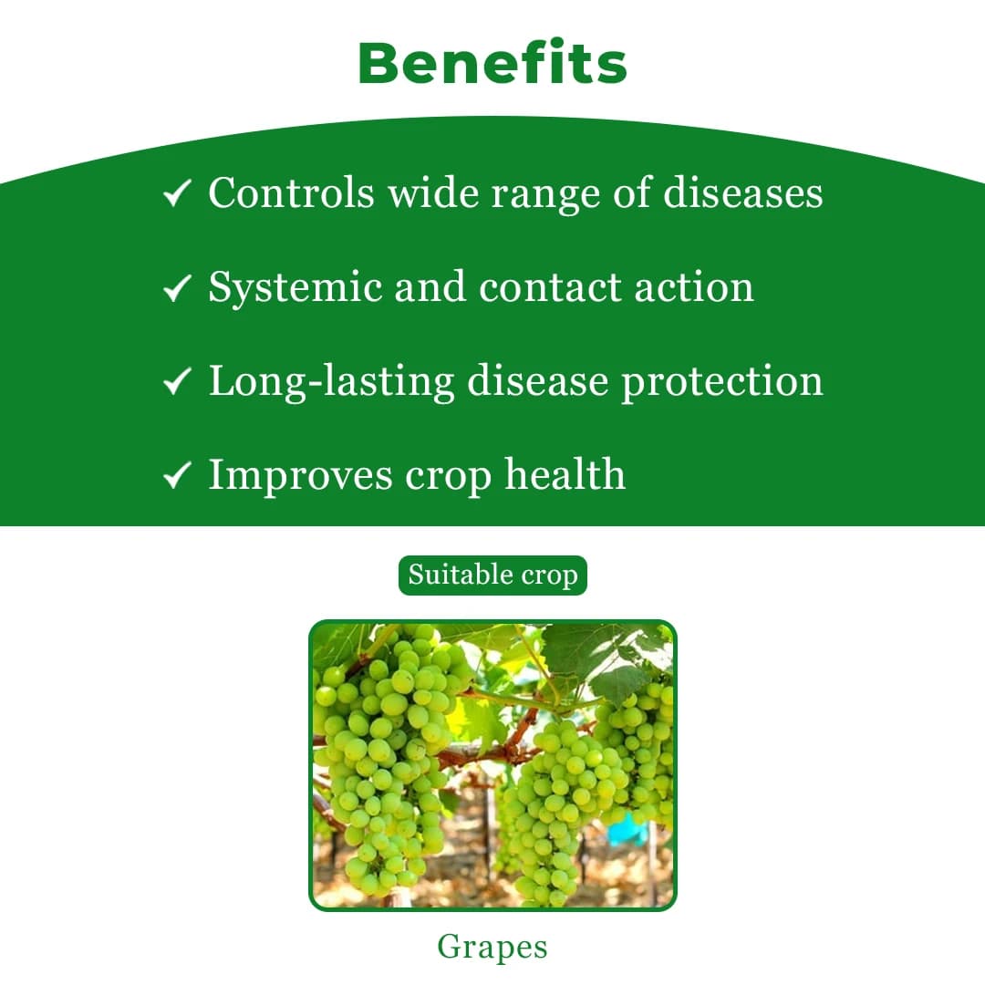 Bayer Profiler Fluopicolide 4.44% + Fosetyl-Al 66.67% ww WG Long Duration Control And Extremely Fast Action On Downy Mildew Fungus - Image 4