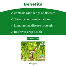Bayer Profiler Fluopicolide 4.44% + Fosetyl-Al 66.67% ww WG Long Duration Control And Extremely Fast Action On Downy Mildew Fungus 4