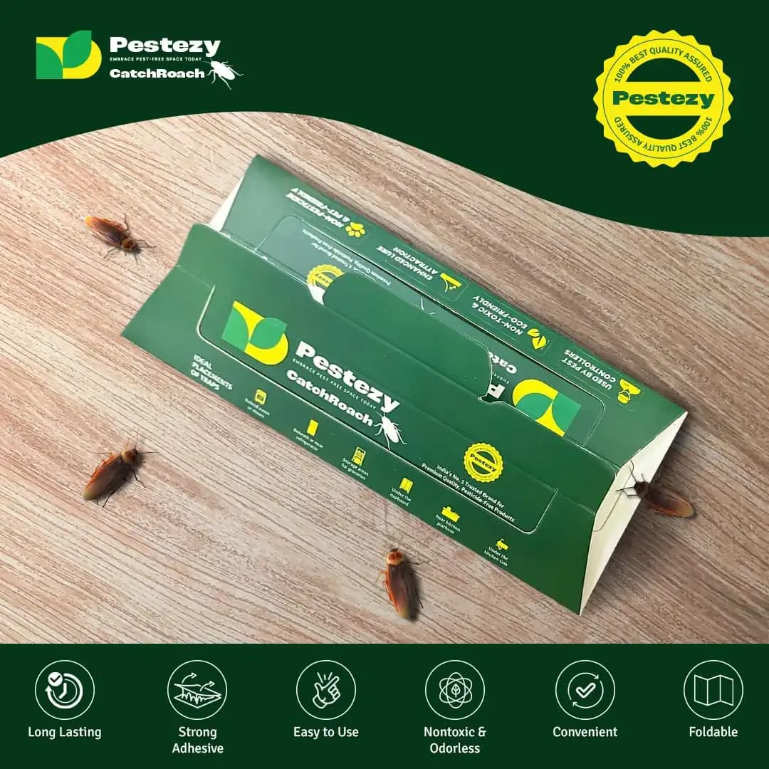 Pestezy CatchRoach Cockroach Trap, Non-Toxic, Eco-Friendly, Sticky Glue Traps For Home And Kitchen - Image 2