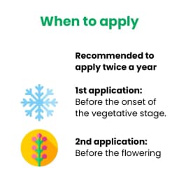 Titan Agritech MYCOPEP Mycorrhizae Bio Fertilizer, Soil Fertility And Plant Nutrition 4