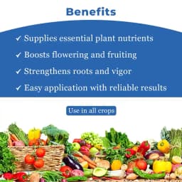 Cubic NPK 00:52:34 Water Soluble Fertilizer, Mono Potassium Phosphate (Highly Concentrated Source Of Both Phosphorus And Potassium) 4