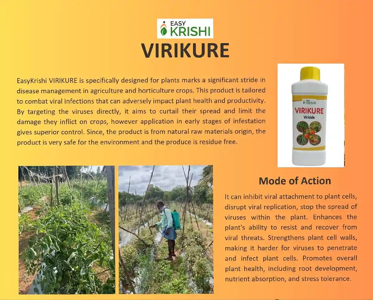 Easykrishi Virikure, Virucide For All Crops, Effective Anti-Viral Product To Protect Crops. from All types of Viral Diseases VIRICIDE - Image 4