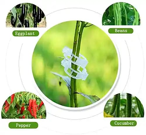 Siddhi Plastic Garden Plant Support Clips, Tomato Clips for Tomato Cucumber Flower Squash Vine to Make Garden Vegetables Grow Healthy - Image 5