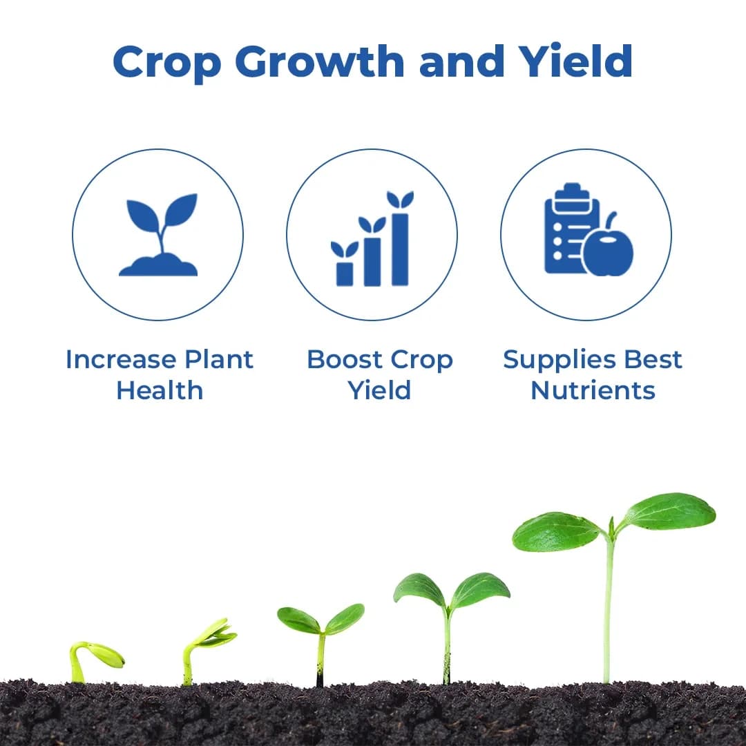 Cubic Calcium Nitrate, 100% Water Soluble, 15.5% Nitrogen (N) and 18.5% Calcium (Ca) - Image 3