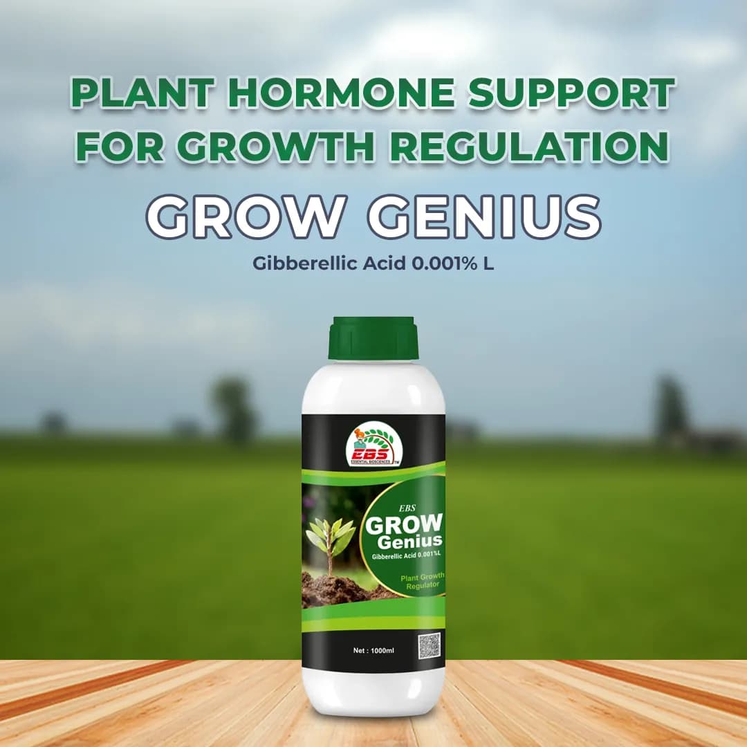 EBS Grow Genius Gibberellic Acid 0.001% L, Which Stimulate & Regulate The Plant Growth - Image 2