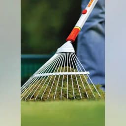 वोल्फ गार्टन UE M लीफ रेक बिना हैंडल के, 50 सेंटीमीटर कार्य चौड़ाई, पत्तियाँ साफ़ करने के लिए 3