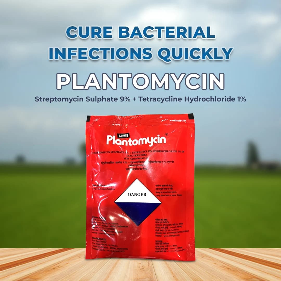 Aries Agro Plantomycin Bactericide, Used To Control Bacterial Disease In Crops And Treat Various Infections - Image 2