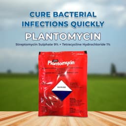 Aries Agro Plantomycin Bactericide, Used To Control Bacterial Disease In Crops And Treat Various Infections 2
