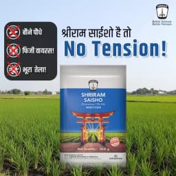 Shriram SAISHO Dinotefuran 70% WG Insecticide, Effectively Improves Crop Health And Yield In Cotton, Paddy And Brinjal Crops 2