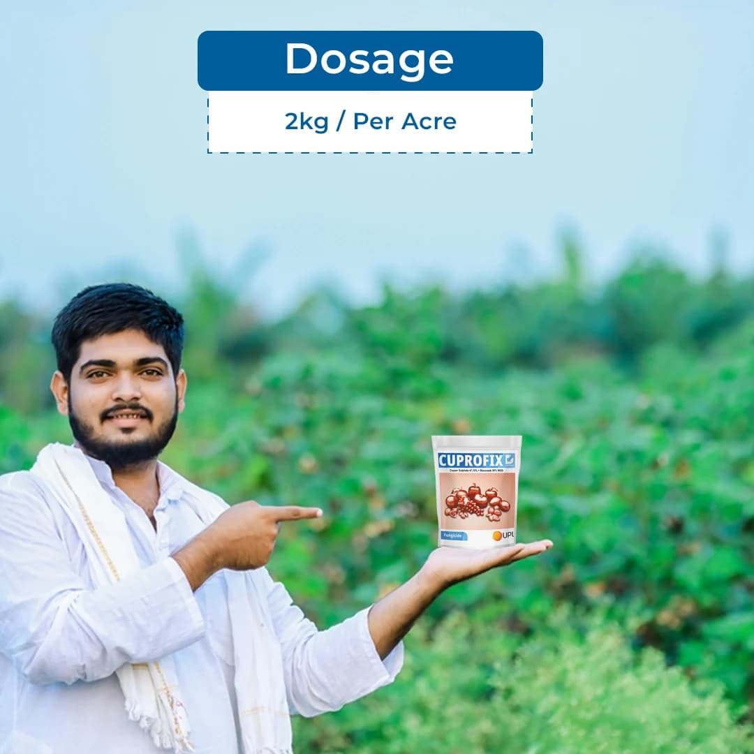 UPL Cuprofix Copper Sulphate 47.15% + Mancozeb 30% WDG, Fungicide For Grapes - Image 5