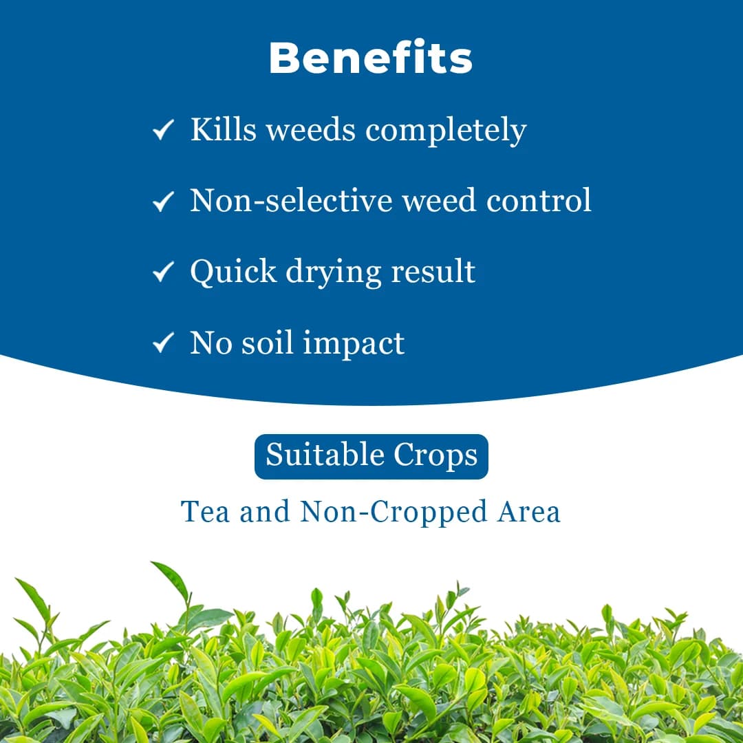 MBF G-40 Glyphosate 41% Systemic Herbicide, For Controlling Weeds of Tea and Non Crop Areas - Image 4