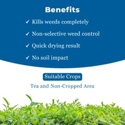 MBF G-40 Glyphosate 41% Systemic Herbicide, For Controlling Weeds of Tea and Non Crop Areas 4