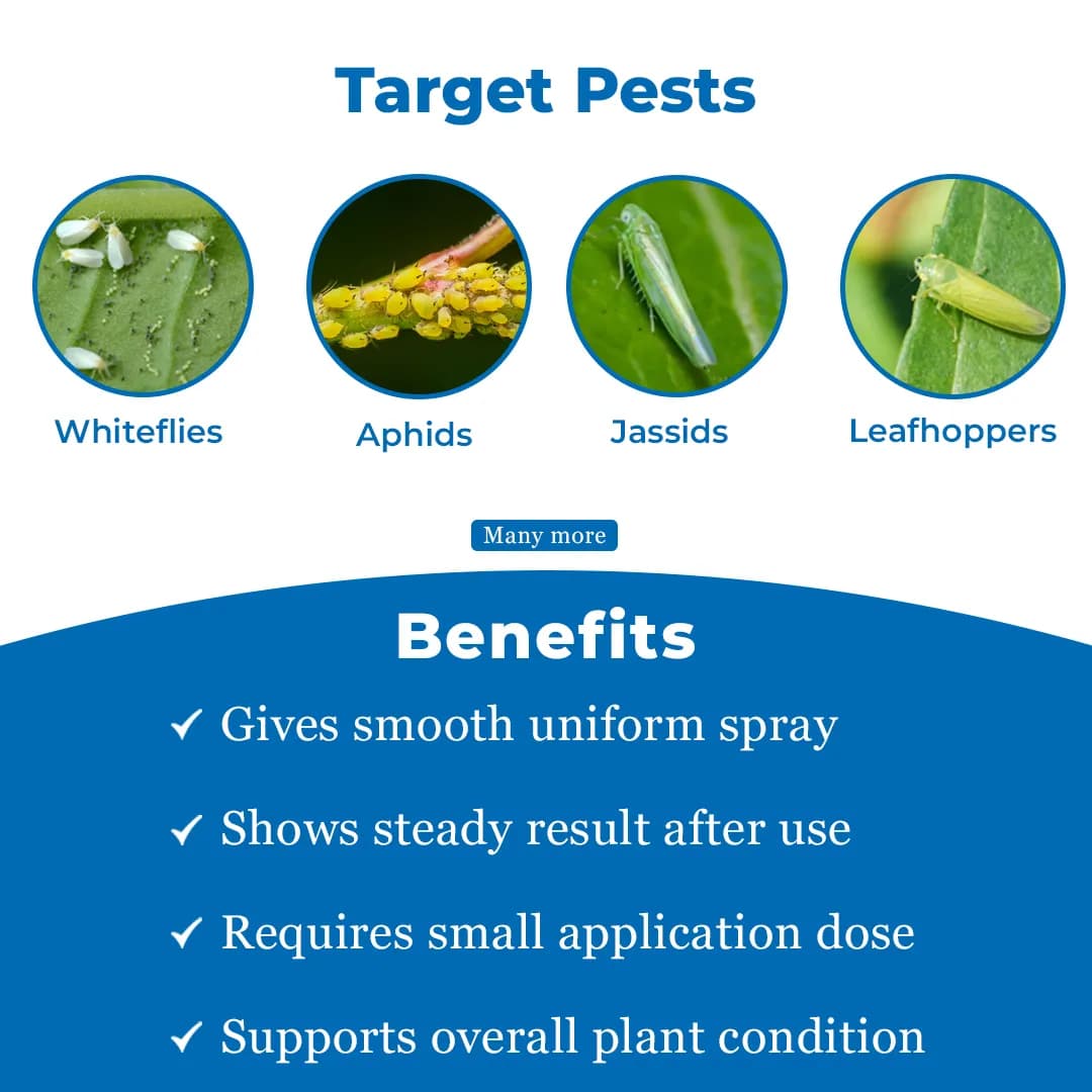 EBS B-PRO Buprofezin 25% SC Insecticide, Use For Apple, Rice, Mango, and Grape - Image 3