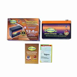 Pad Corp Dry Lead Acid Sprayer Batteries, Completely Maintenance Free And Rechargeable 2