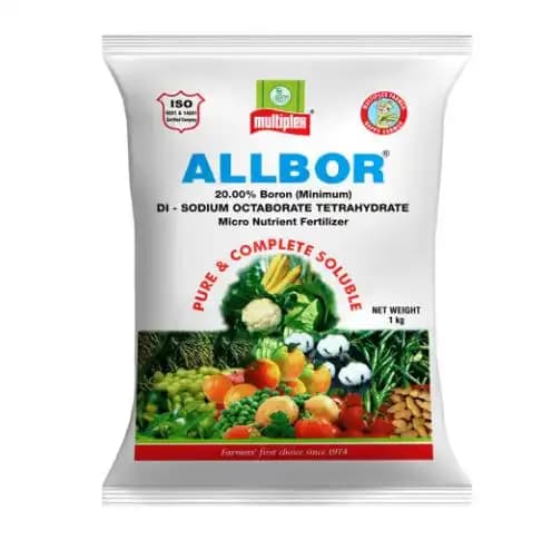Multiplex Allbor Boron 20% Micro Nutrient Fertilizer, Helps In Improving Flower And Fruit Setting