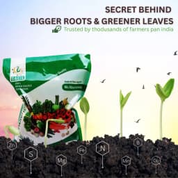 GACIL Micronutrient Mixture Fertilizer for Vegetable, Fruits And All Type of Farming Crops (Gujarat Grade-5 For Soil Application) 3