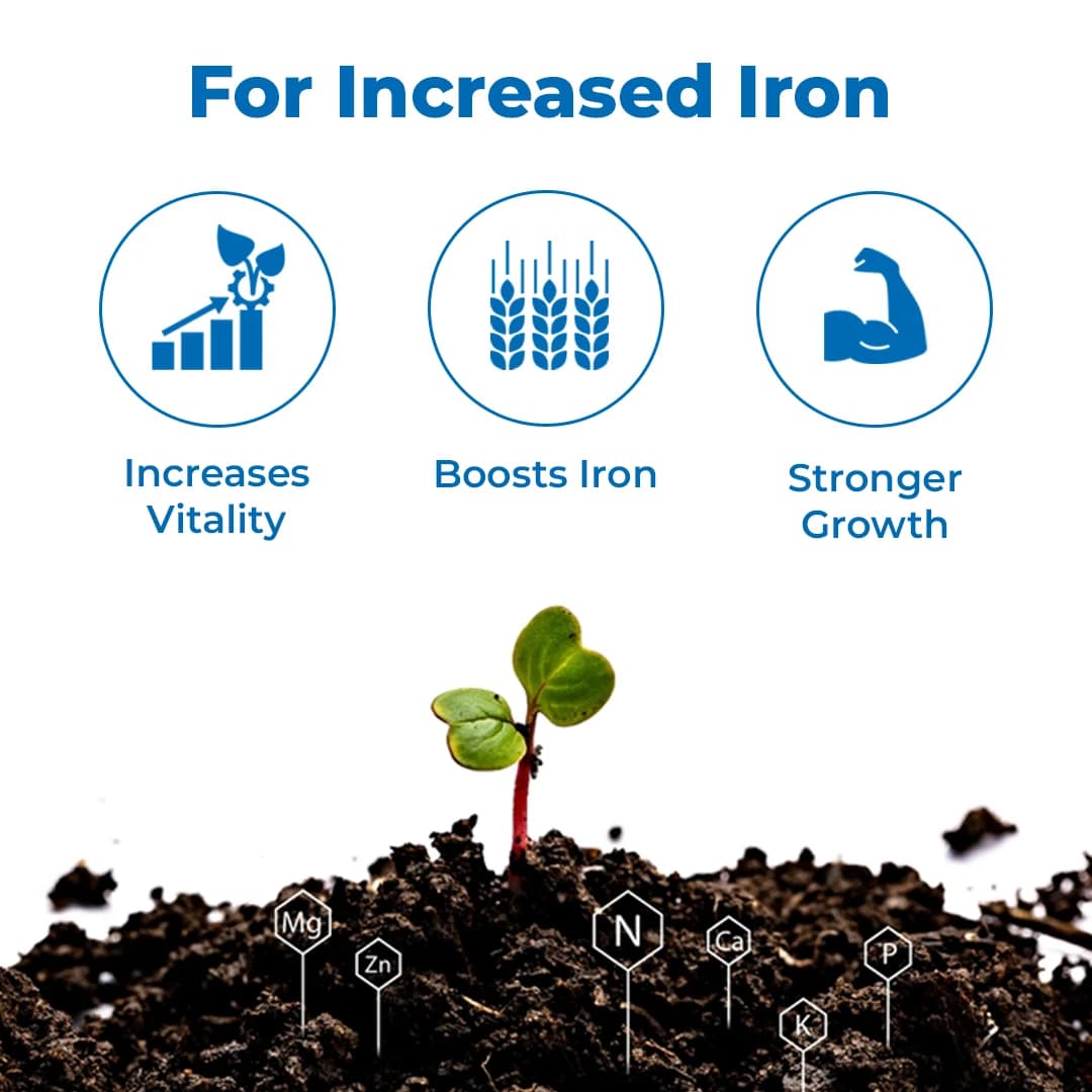 Katyayani Micronutrient Iron EDTA Fe 12% EDTA Fertilizer For Plant And Overall Development. - Image 2