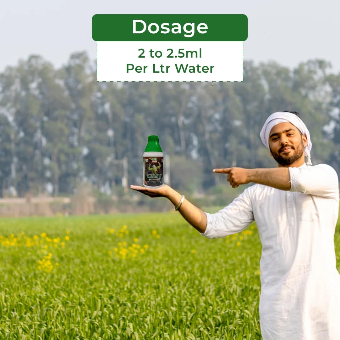 Multiplex Kranti Micro Nutrient Fertilizer, Contains Essential Plant Nutrients, Complete Plant Food - Image 5