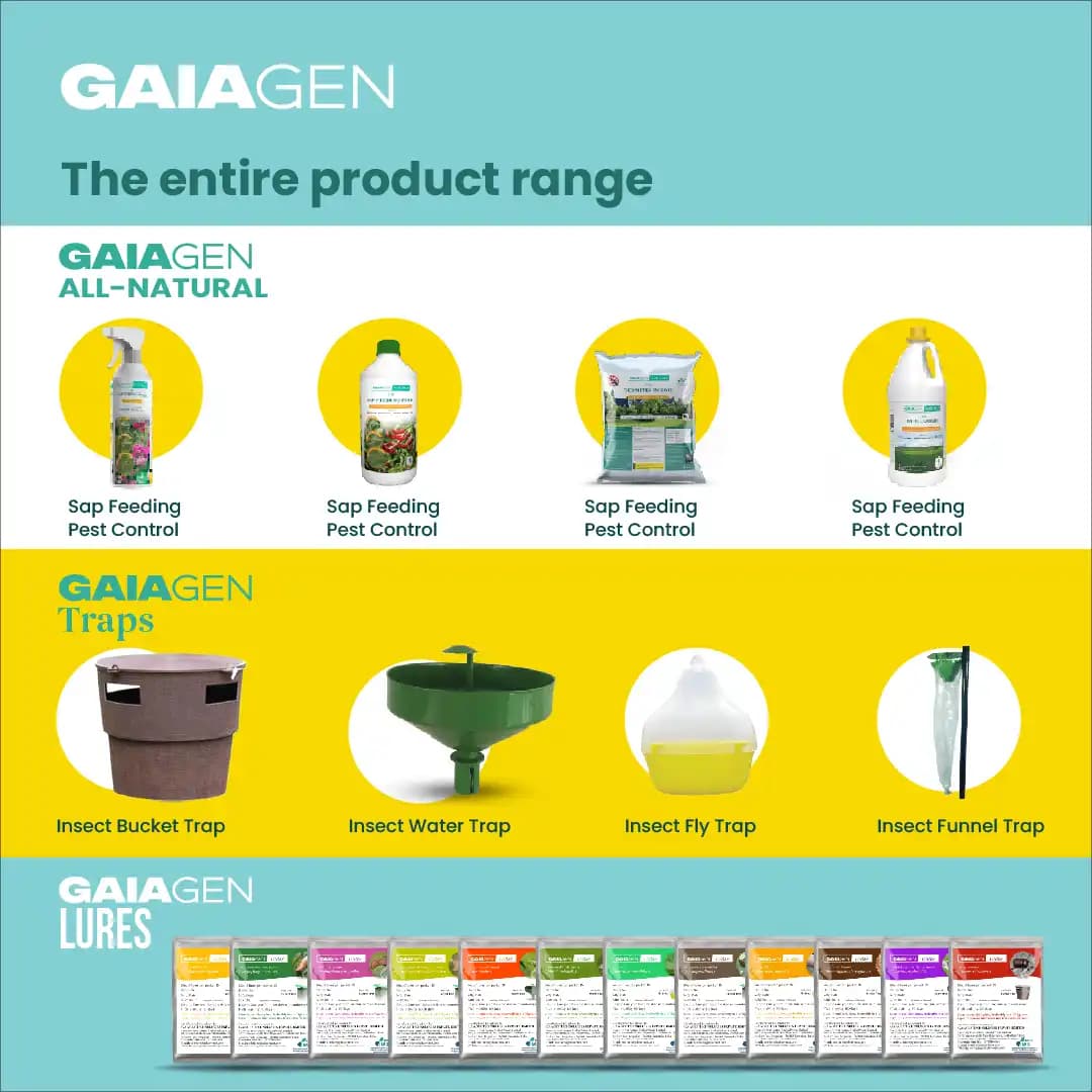 गाइएजेन आरपीडब्ल्यू फेरोमोन ल्योर और कीट बाल्टी जाल, लाल ताड़ सुंडी (राइन्कोफोरस फेरूजीनियस) के लिए, आईएमओ प्रमाणित - Image 10