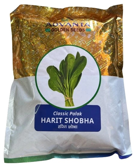 Advanta Harit Shobha Palak Seeds, Spinach Seeds, Multi Cut Variety with Large Basal Leaves and Smaller Upper Leaves
