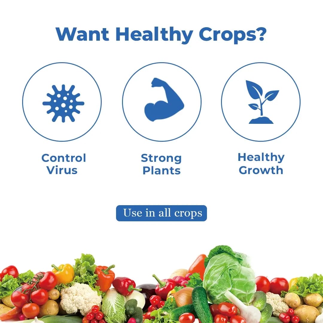 Katra Lysorus Anti-Virus and Anti-Bacteria (1 GM Lysorus Powder + 50 ML Activator) - Image 4