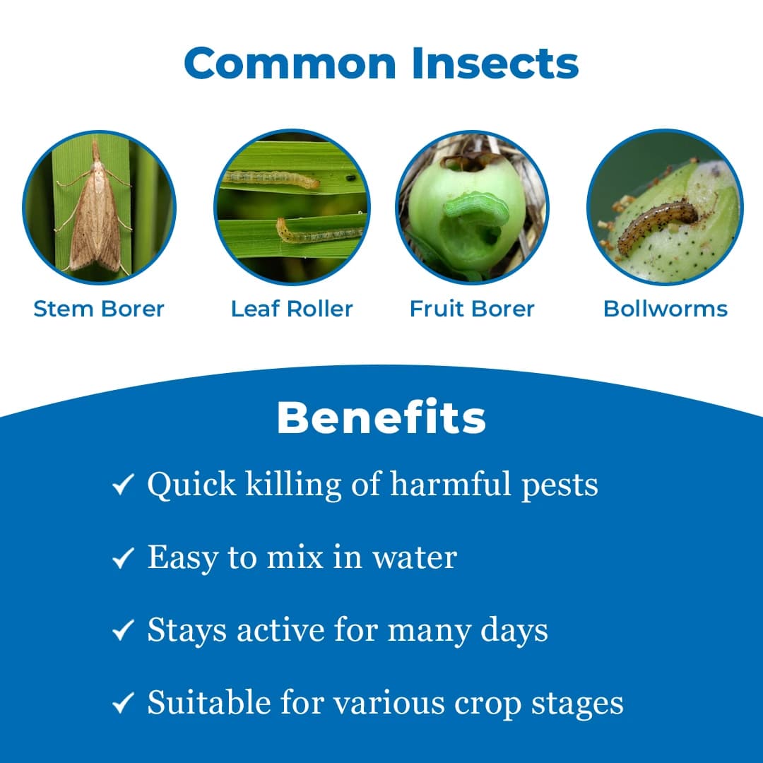 EBS Tapride Insecticide - Image 4