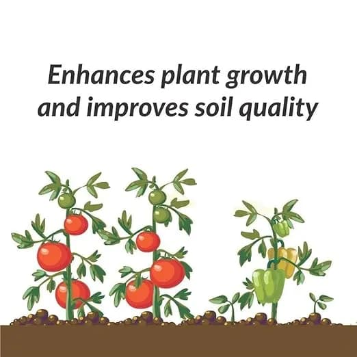 CropKraft Plant Growth Supplement (Liquid), Root Enhancer For Plants, Pot Plant Growth Enhancers (Pack of 3) - Image 5