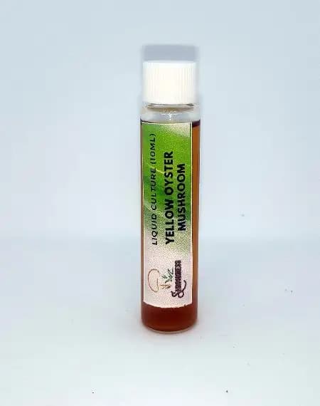 SporeKart Yellow Oyster Mushroom Liquid Culture (10ml), Cost Effective and High Quality Mushroom - Image 2