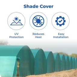 Anil Packaging Garden Shade Net 75% Shade , Sun Protected, UV Stabilized Material 3