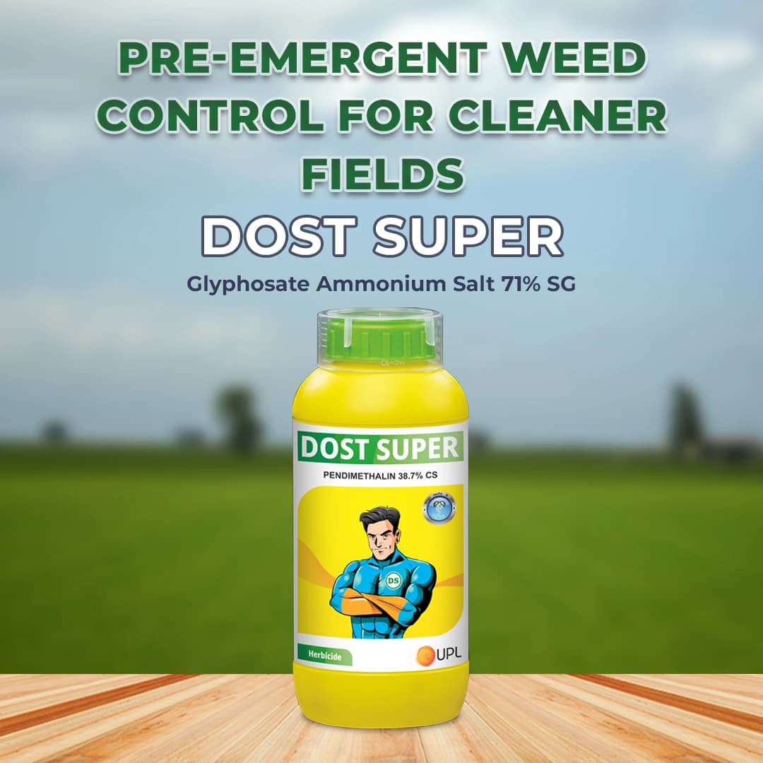 UPL Dost Super Pendimethalin 38.7% CS , Selective Pre Emergent Herbicide - Image 2