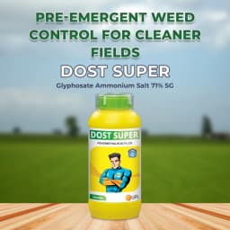 UPL Dost Super Pendimethalin 38.7% CS , Selective Pre Emergent Herbicide 2