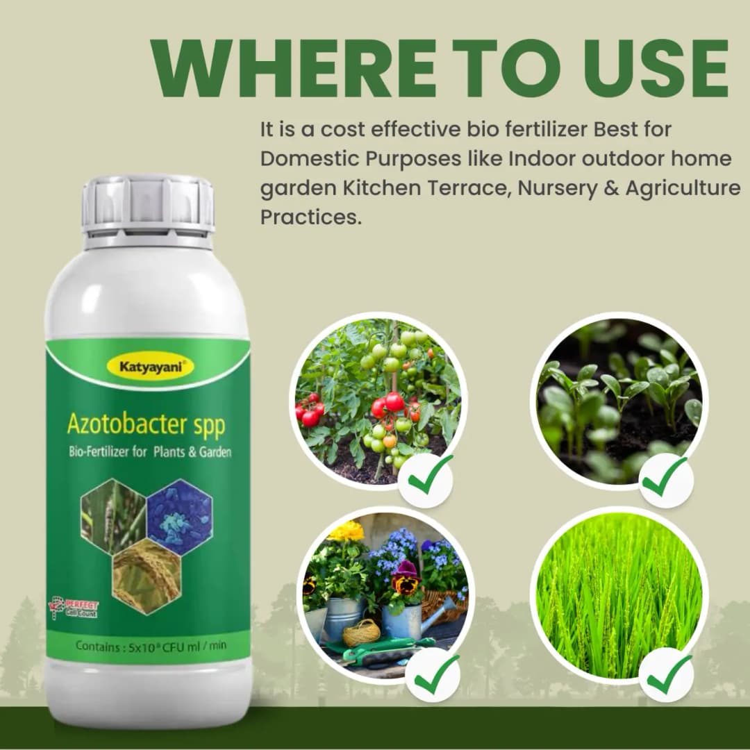Katyayani Azotobacter Nitrogen Fixing Bio-Fertilizer, Enhancing Soil Fertility and Sustainable Crop Growth - Image 2