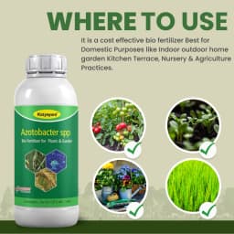 Katyayani Azotobacter Nitrogen Fixing Bio-Fertilizer, Enhancing Soil Fertility and Sustainable Crop Growth 2