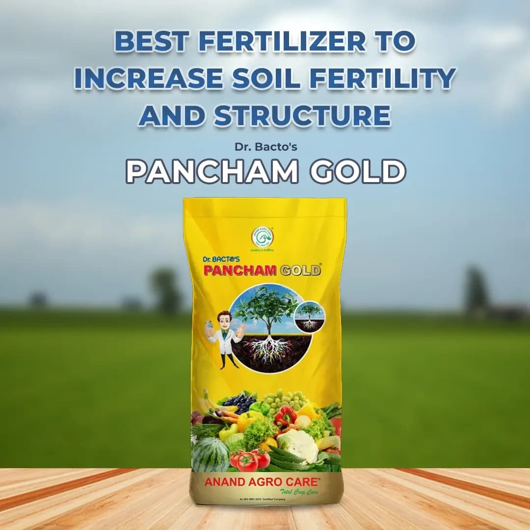Dr. Bacto\'s Pancham Gold Granules, Formulation of Arbuscular Mycorrhiza, Increase the Plant Growth and Yield and Enrich the Soil Condition - Image 2