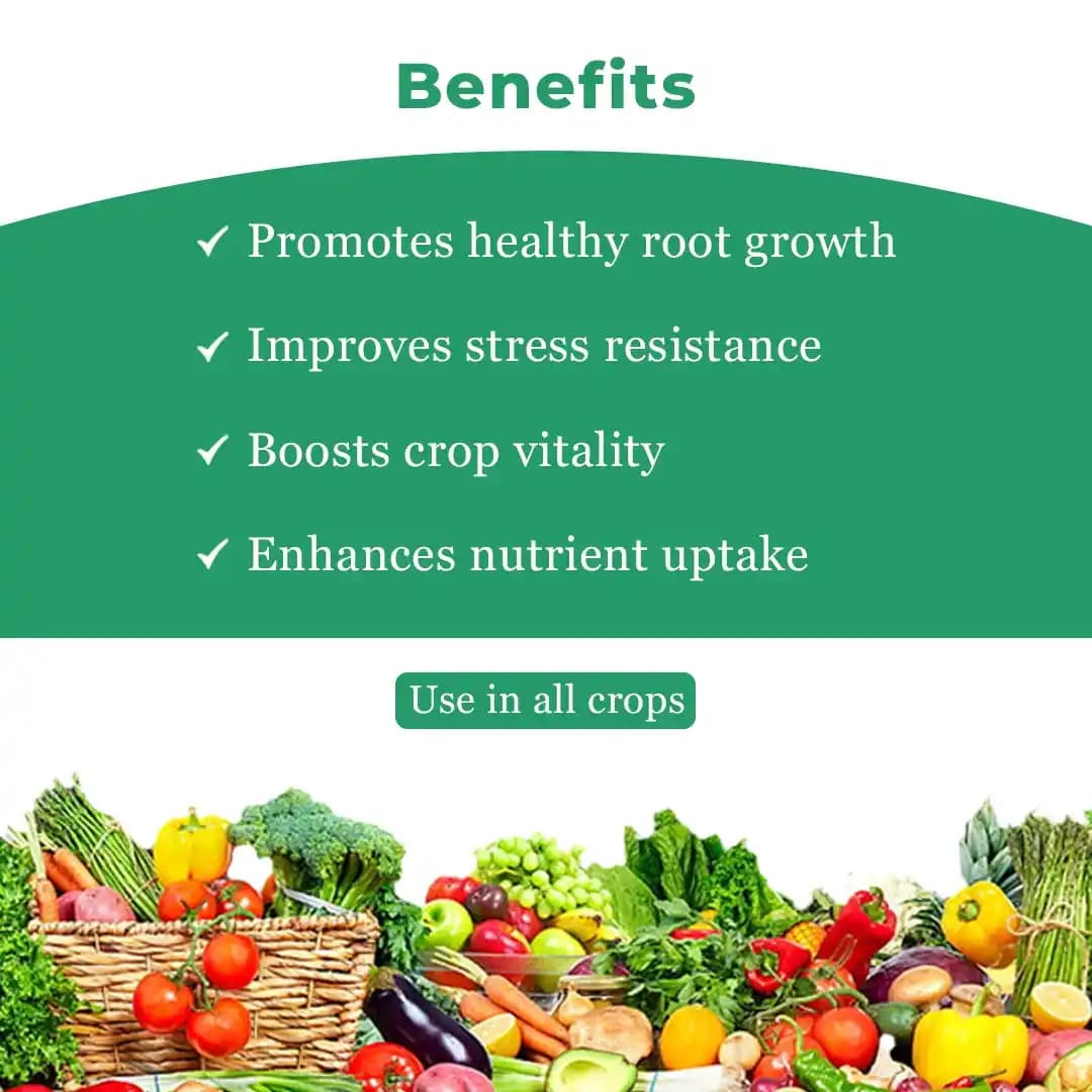 थाईला एन (नाइट्रोजन) यील्ड एन्हांसर - पत्तियों में क्लोरोफिल की मात्रा बढ़ाता है, जिससे फोटोसिंथेसिस की दर अधिक होती है। - Image 4