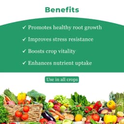 थाईला एन (नाइट्रोजन) यील्ड एन्हांसर - पत्तियों में क्लोरोफिल की मात्रा बढ़ाता है, जिससे फोटोसिंथेसिस की दर अधिक होती है। 4