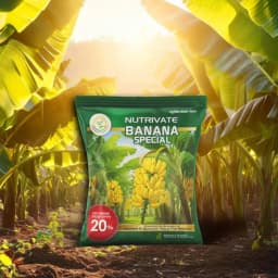 Greenovate Agrotech Nutrivate Banana Special, Crop Specific Micronutrient Fertilizer For Yield And Fruit Quality In Banana Crop 3