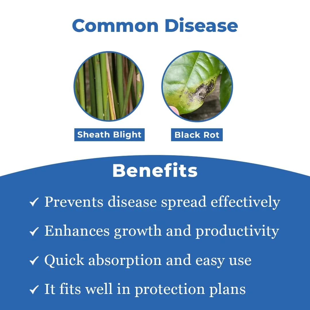EBS Validaguard Fungicide - Image 3