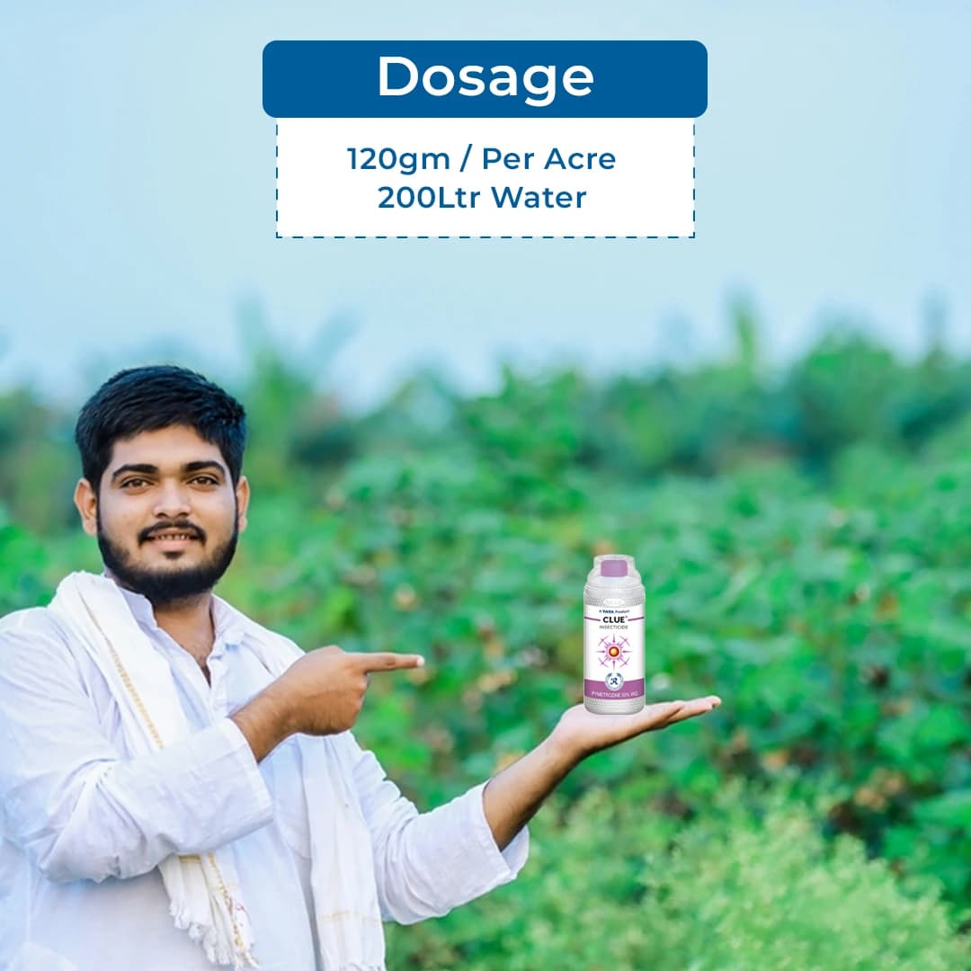 Tata Clue Insecticide - Image 5