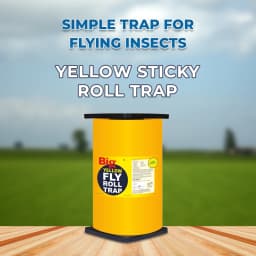 Green Revolution Yellow Sticky Roll Trap, Effective For Flying Insects Control 2