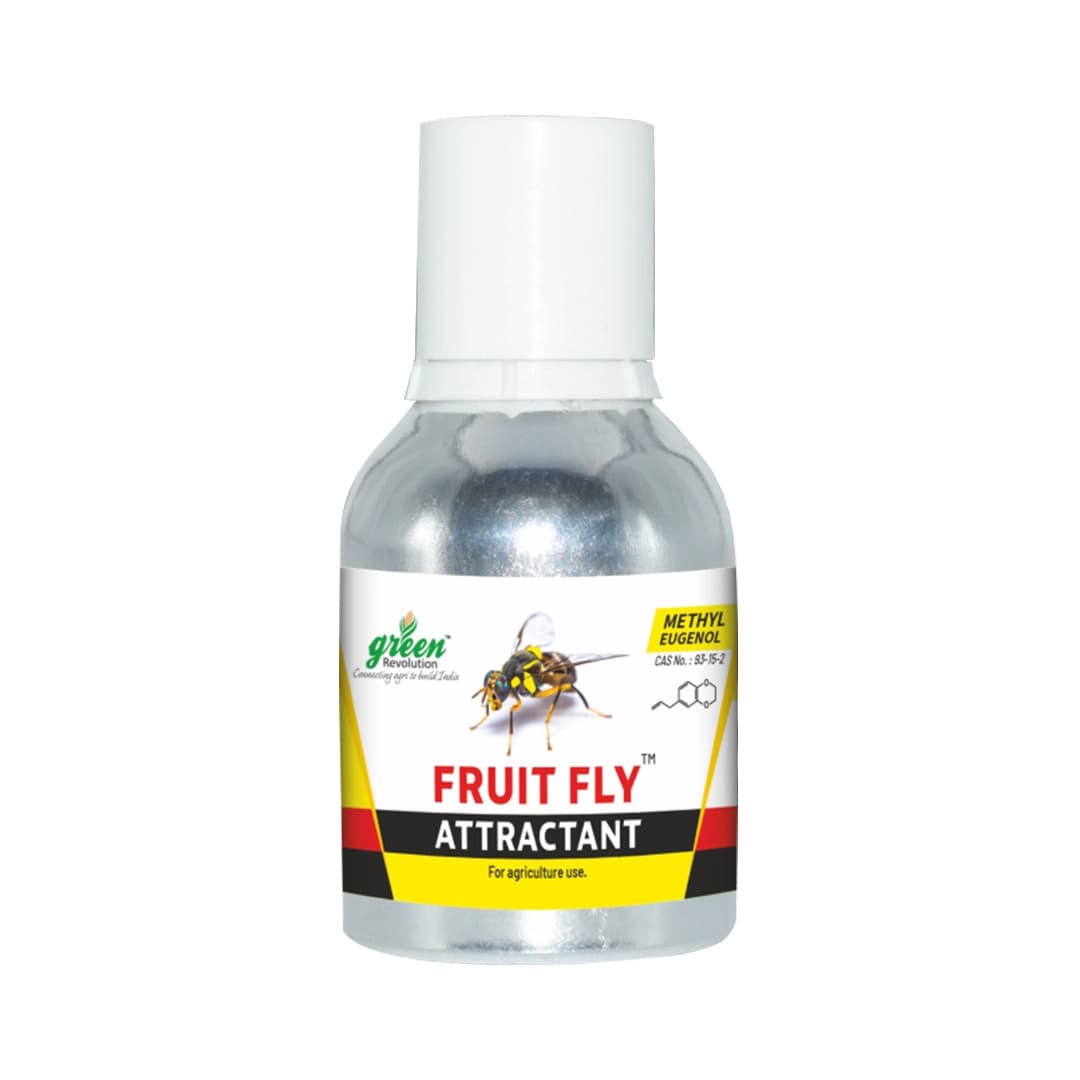 Fruit Fly Trap Attractant Methyl Eugenol Liquid For Bactrocera Dorsalis, Useful For Preparing Traps.