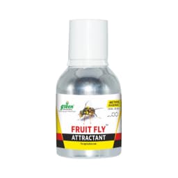 Fruit Fly Trap Attractant Methyl Eugenol Liquid For Bactrocera Dorsalis, Useful For Preparing Traps. 1