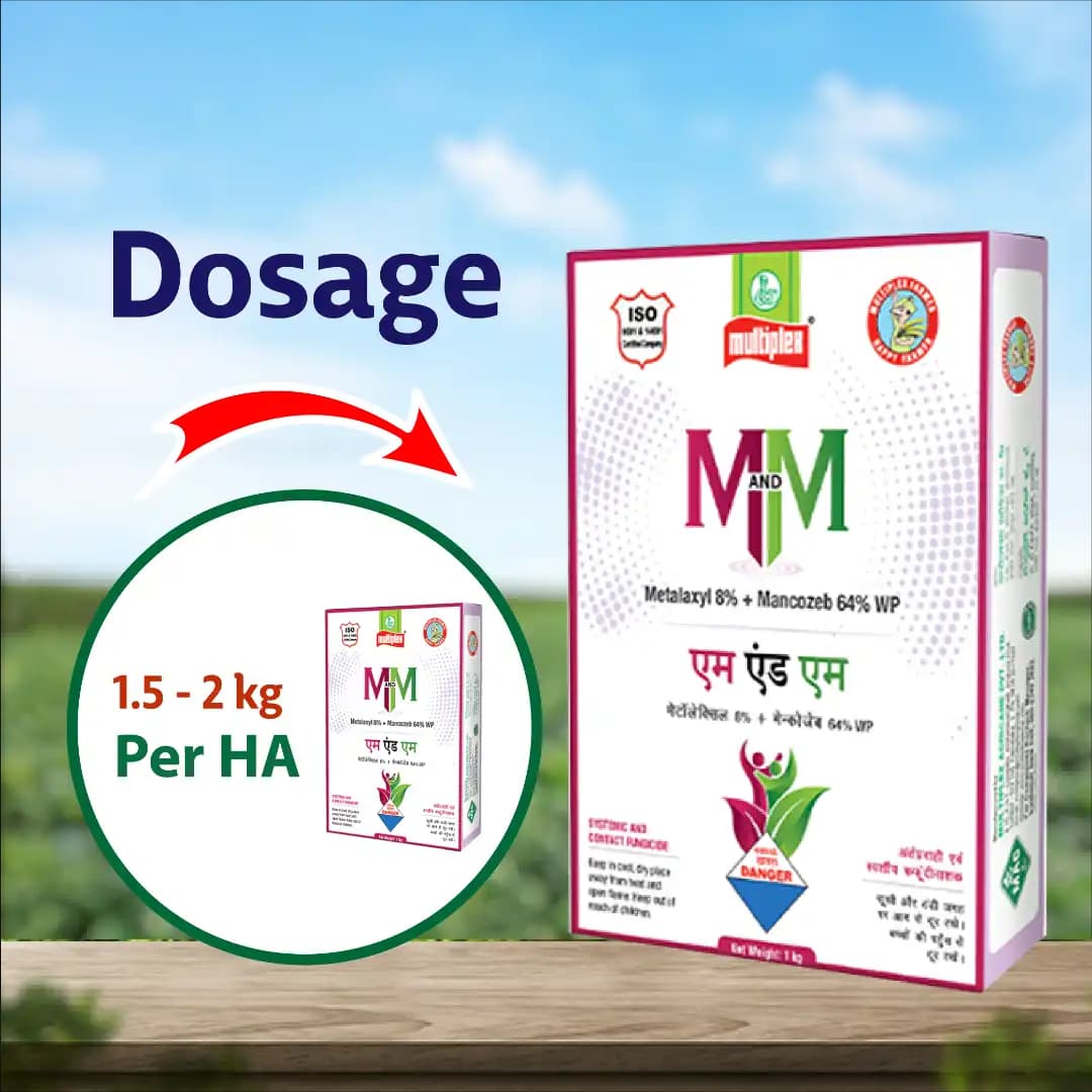 Multiplex M And M Metalaxyl 8% + Mancozeb 64% WP Fungicide, Effective Broad-Spectrum Disease Control - Image 4
