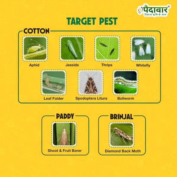 Paidavaar Laher 505 Chlorpyriphos 50% + Cypermethrin 5% EC Insecticide - Image 4