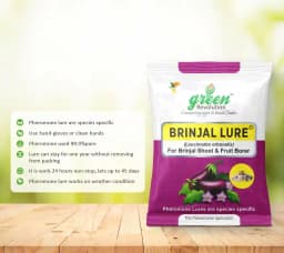 Water Pheromone Trap with Brinjal Lure (Leucinodes Orbonalis) For Brinjal Fruit and Shoot Borer Insect. 4