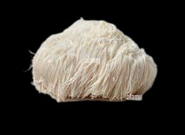 Lion\'s Mane Mushroom Spawn - Hericium Erinaceus