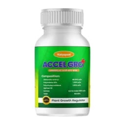 Katyayani Banana Growth Booster Combo, Promote Growth And Flowering (Mix Micronutrient 100 Gm, Accel Gro Plus 6 Gm) 4