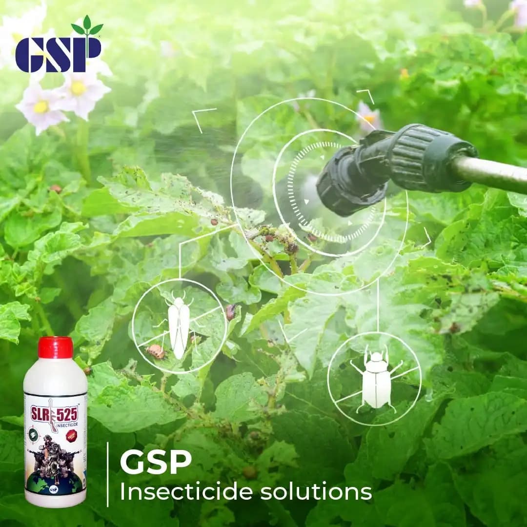 GSP SLR 525 Insecticide - Image 2