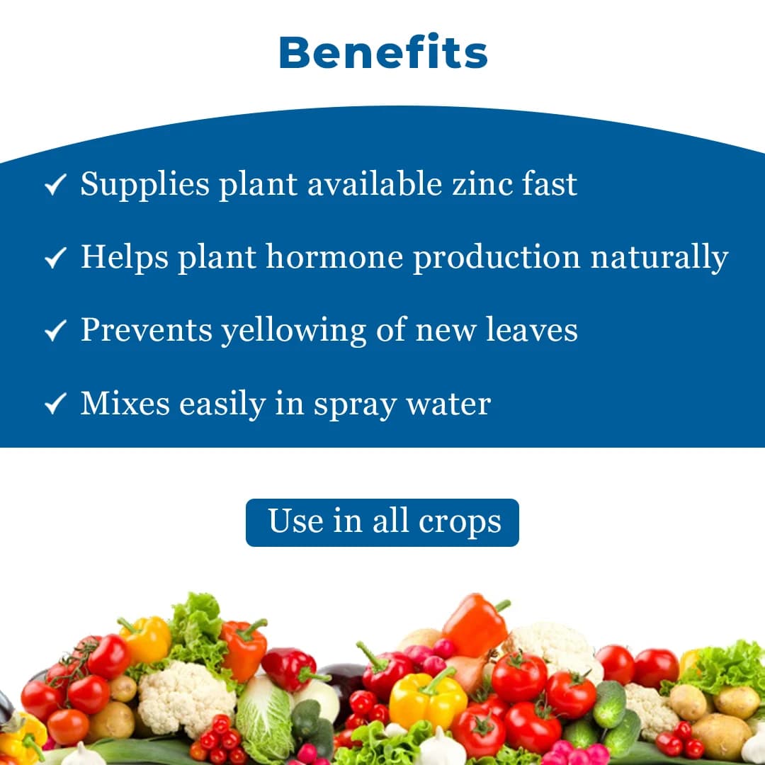 EBS Zinc - Chelated Micronutrient Fertilizer - Image 5