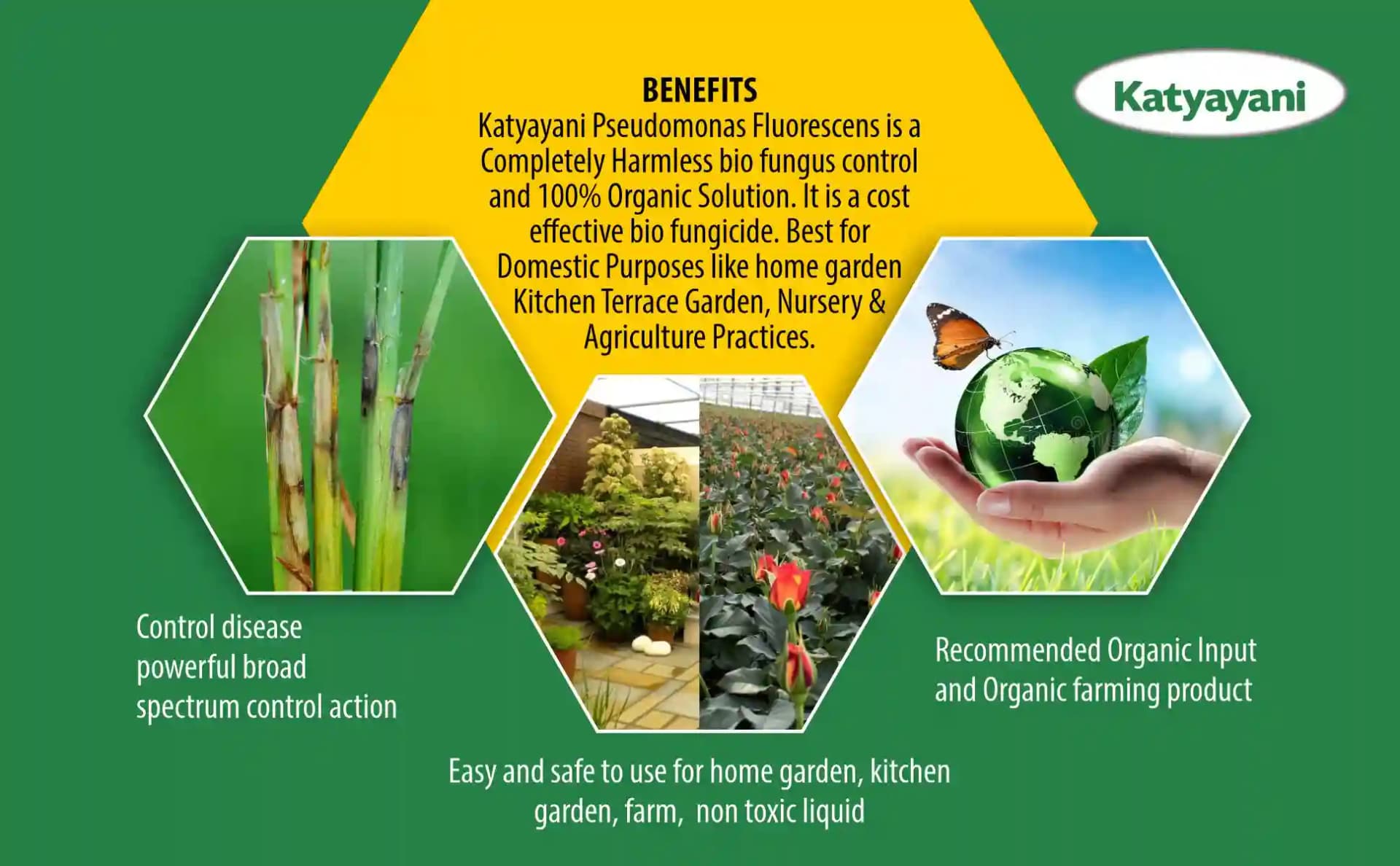 कात्यायनी प्यूसिडोमोनास फ्लोरोसेंस लिक्विड जैव फंगीसाइड, स्वस्थ फसलों के लिए प्रभावी रोग नियंत्रण - Image 4